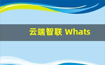 云端智联 WhatsApp